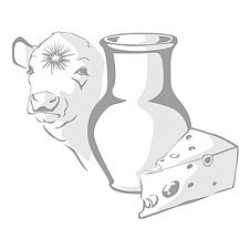 Соус на основе раст. масел Соус для шаурмы 42% /1кг/6шт/ТМ Астория