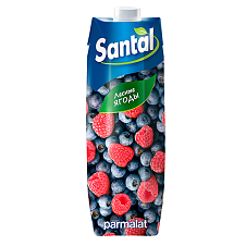 Напиток сокосодержащий Santal лесные ягоды 1л Prisma